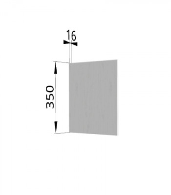 Панель торцевая (для шкафа горизонтального) ПГ Ройс (Графит софт) в Сокуре - sokur.mebel54.com | фото
