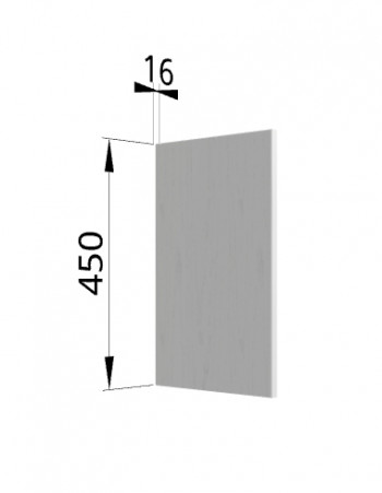 Панель торцевая (для шкафа горизонтального высокого) ВПГ Ройс (Графит софт) в Сокуре - sokur.mebel54.com | фото